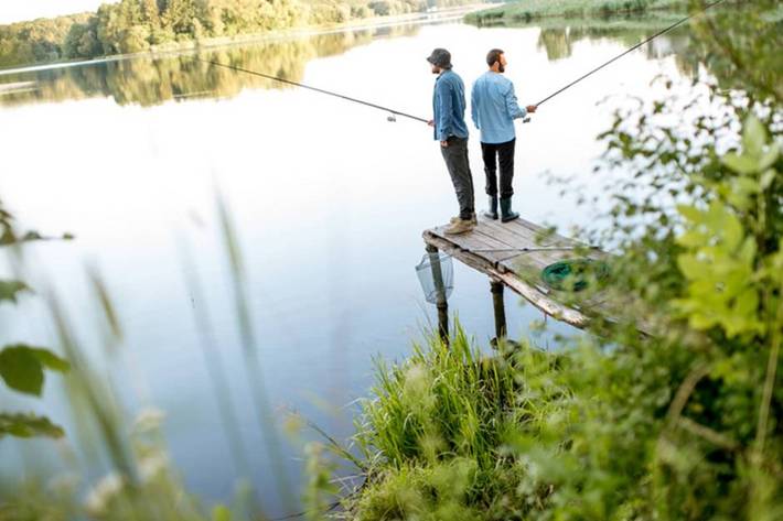 Fachmakler für land-, forst- und pferdewirtschaftliche Immobilien