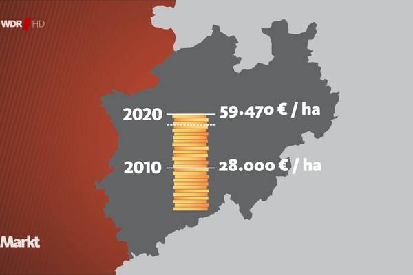 Fachmakler für land-, forst- und pferdewirtschaftliche Immobilien