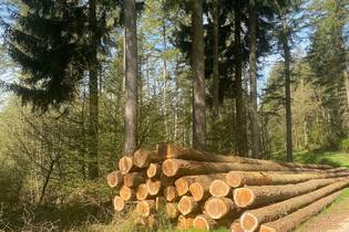 Fachmakler für land-, forst- und pferdewirtschaftliche Immobilien