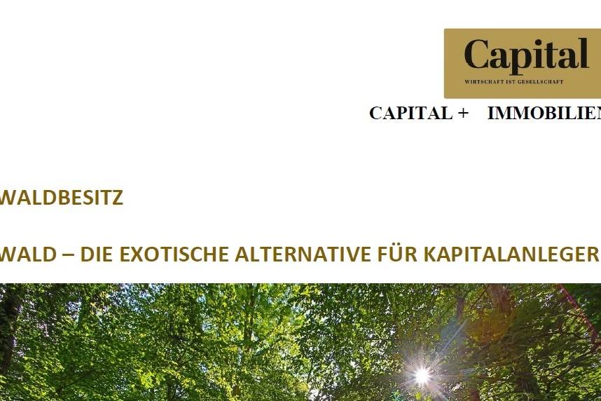 Fachmakler für land-, forst- und pferdewirtschaftliche Immobilien