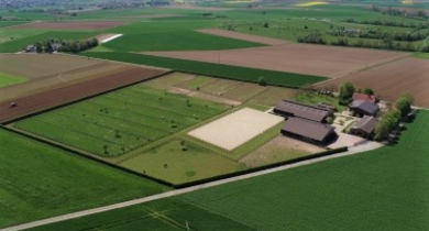 Fachmakler für land-, forst- und pferdewirtschaftliche Immobilien