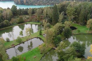 Fachmakler für land-, forst- und pferdewirtschaftliche Immobilien