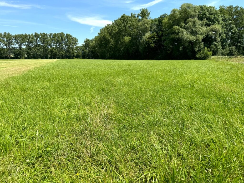 Fachmakler für land-, forst- und pferdewirtschaftliche Immobilien