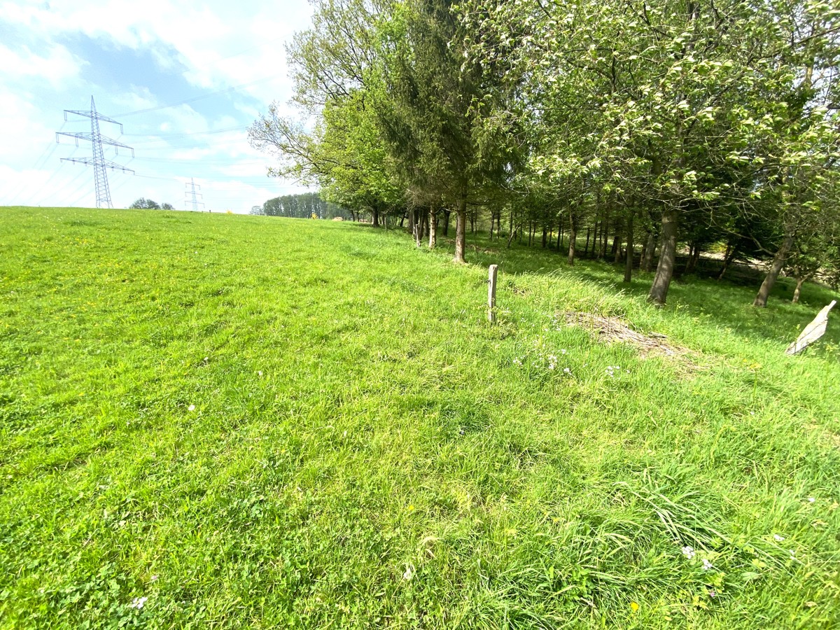 Grünland Gemarkung Leuscheid, Flur 17, Flurstück 65 (NRW) II