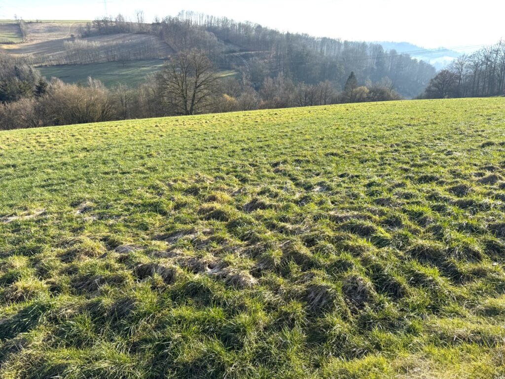 Fachmakler für land-, forst- und pferdewirtschaftliche Immobilien