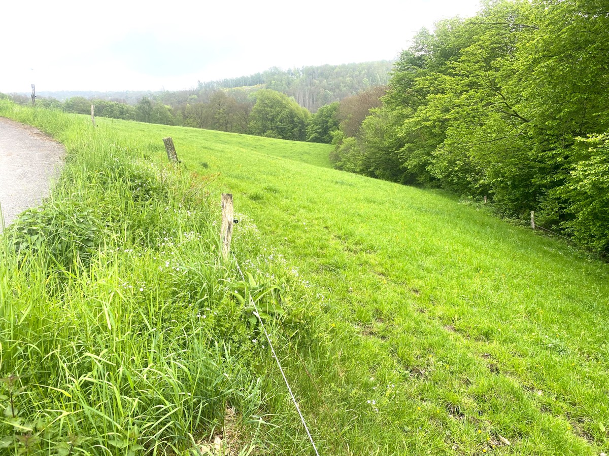 Grünland Gemarkung Leuscheid, Flur 17, Flurstück 57 (NRW)