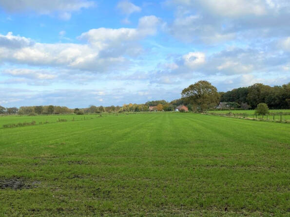 Fachmakler für land-, forst- und pferdewirtschaftliche Immobilien