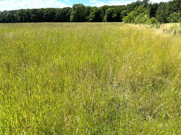 Fachmakler für land-, forst- und pferdewirtschaftliche Immobilien