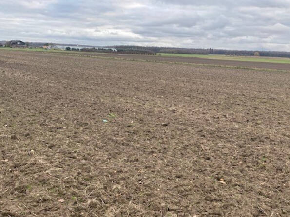 Fachmakler für land-, forst- und pferdewirtschaftliche Immobilien