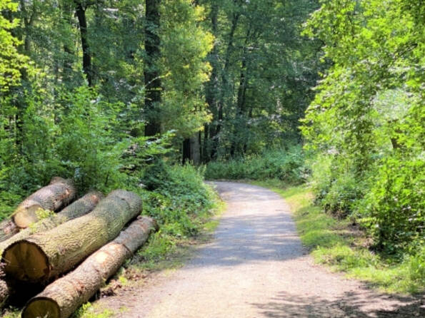 Fachmakler für land-, forst- und pferdewirtschaftliche Immobilien