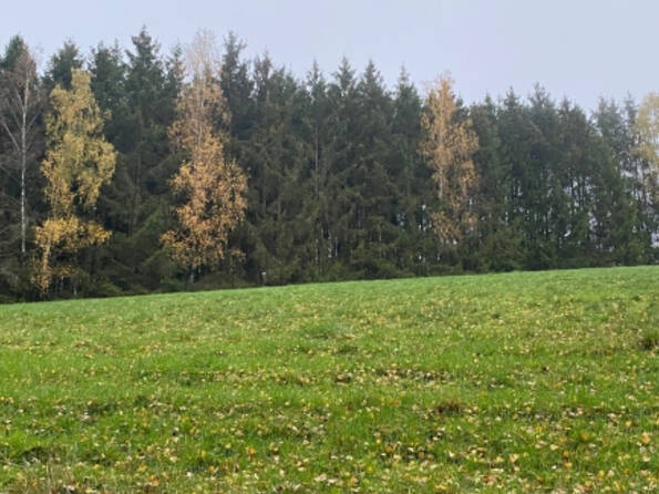 Fachmakler für land-, forst- und pferdewirtschaftliche Immobilien