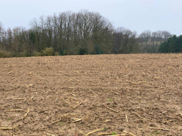 Fachmakler für land-, forst- und pferdewirtschaftliche Immobilien