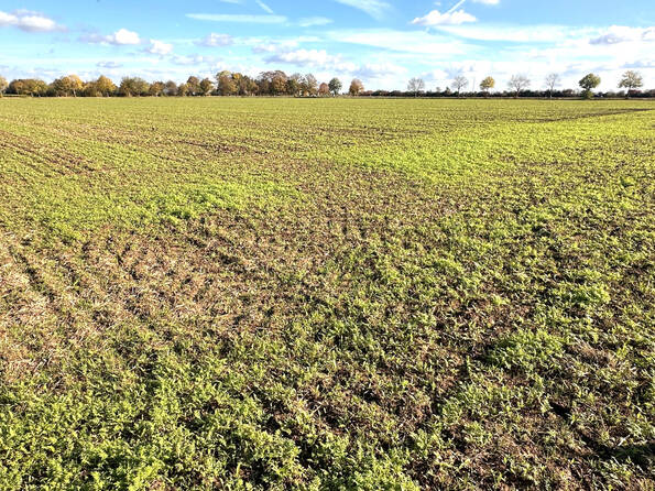 Fachmakler für land-, forst- und pferdewirtschaftliche Immobilien