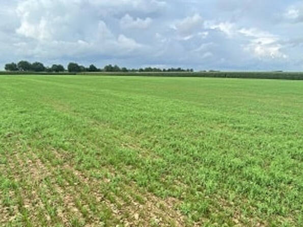 Fachmakler für land-, forst- und pferdewirtschaftliche Immobilien