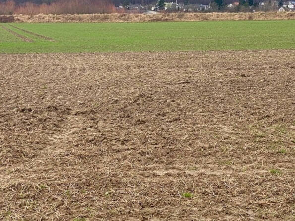 Fachmakler für land-, forst- und pferdewirtschaftliche Immobilien