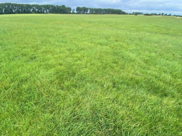 Fachmakler für land-, forst- und pferdewirtschaftliche Immobilien