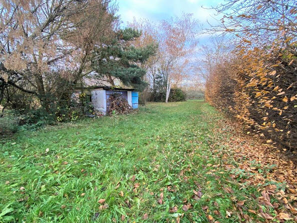 Fachmakler für land-, forst- und pferdewirtschaftliche Immobilien