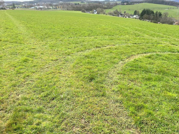 Fachmakler für land-, forst- und pferdewirtschaftliche Immobilien