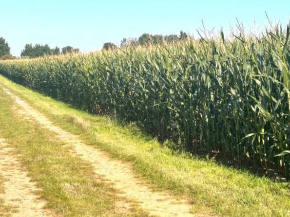 Fachmakler für land-, forst- und pferdewirtschaftliche Immobilien