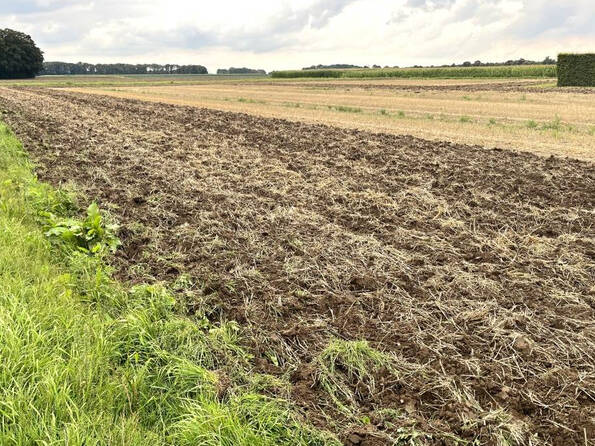 Fachmakler für land-, forst- und pferdewirtschaftliche Immobilien