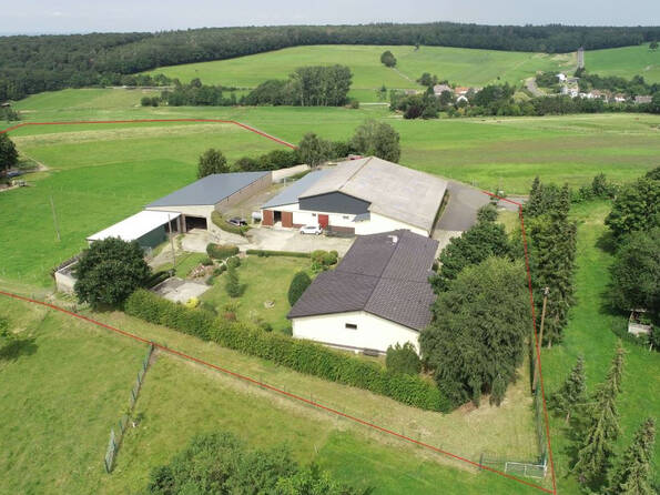 Fachmakler für land-, forst- und pferdewirtschaftliche Immobilien