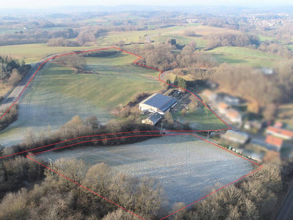 Fachmakler für land-, forst- und pferdewirtschaftliche Immobilien
