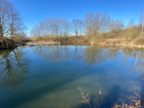 Fachmakler für land-, forst- und pferdewirtschaftliche Immobilien