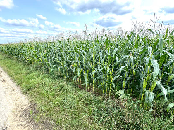 Fachmakler für land-, forst- und pferdewirtschaftliche Immobilien