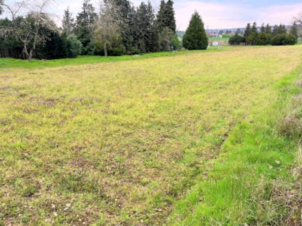 Fachmakler für land-, forst- und pferdewirtschaftliche Immobilien