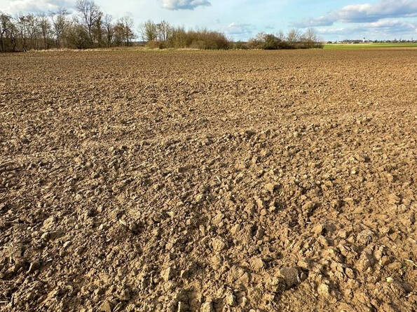 Fachmakler für land-, forst- und pferdewirtschaftliche Immobilien