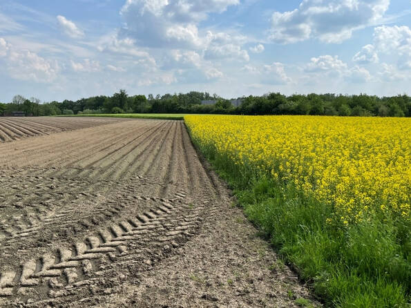 Fachmakler für land-, forst- und pferdewirtschaftliche Immobilien