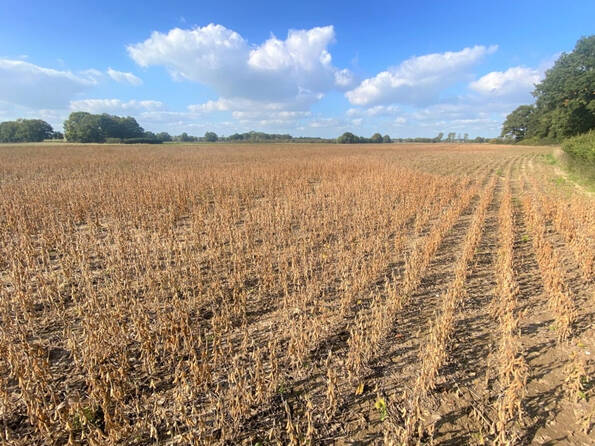 Fachmakler für land-, forst- und pferdewirtschaftliche Immobilien