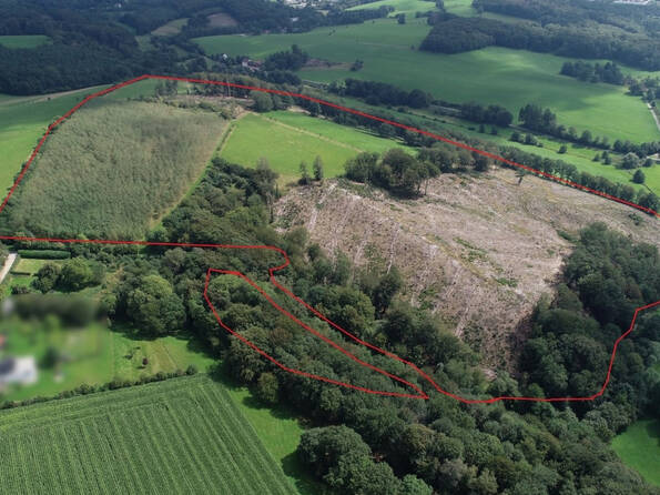 Fachmakler für land-, forst- und pferdewirtschaftliche Immobilien