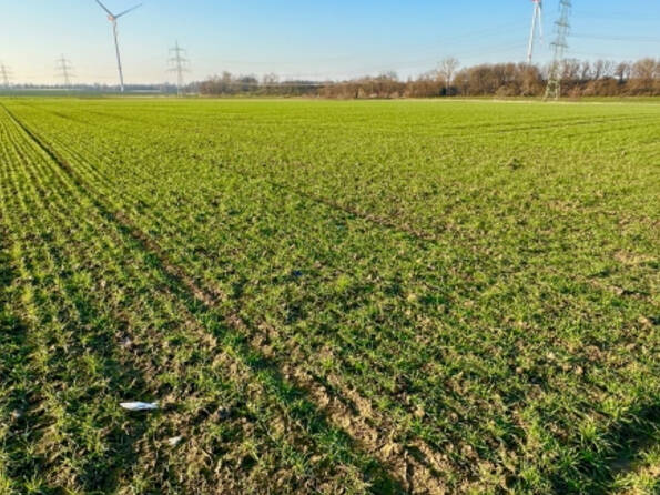 Fachmakler für land-, forst- und pferdewirtschaftliche Immobilien