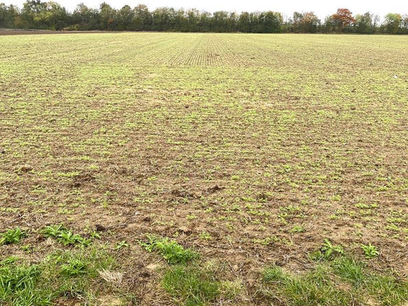 Fachmakler für land-, forst- und pferdewirtschaftliche Immobilien