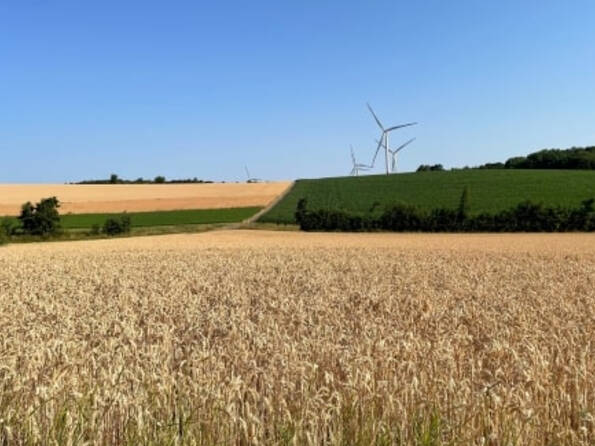 Fachmakler für land-, forst- und pferdewirtschaftliche Immobilien