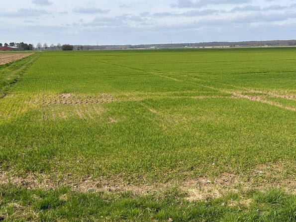 Fachmakler für land-, forst- und pferdewirtschaftliche Immobilien