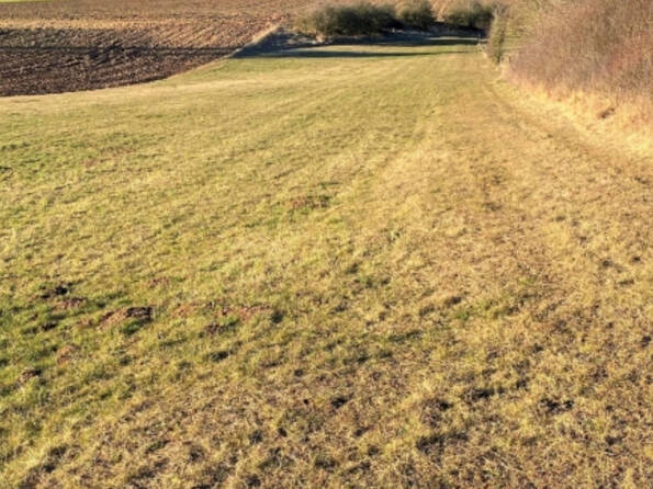 Fachmakler für land-, forst- und pferdewirtschaftliche Immobilien