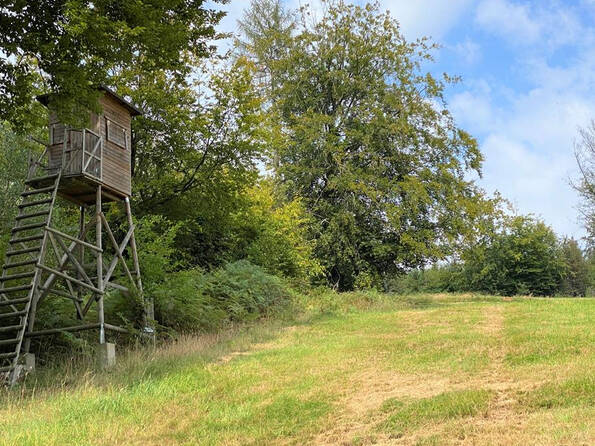 Fachmakler für land-, forst- und pferdewirtschaftliche Immobilien