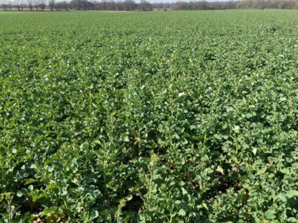 Fachmakler für land-, forst- und pferdewirtschaftliche Immobilien