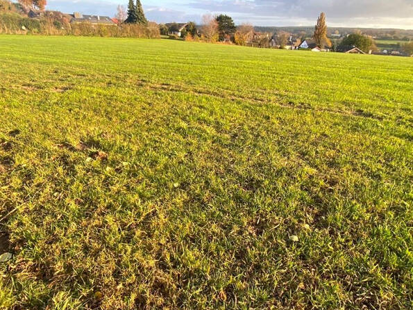 Fachmakler für land-, forst- und pferdewirtschaftliche Immobilien