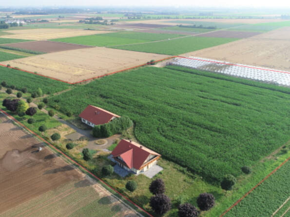 Fachmakler für land-, forst- und pferdewirtschaftliche Immobilien