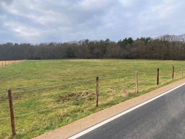 Fachmakler für land-, forst- und pferdewirtschaftliche Immobilien