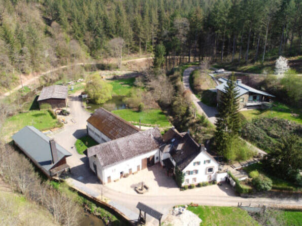 Fachmakler für land-, forst- und pferdewirtschaftliche Immobilien