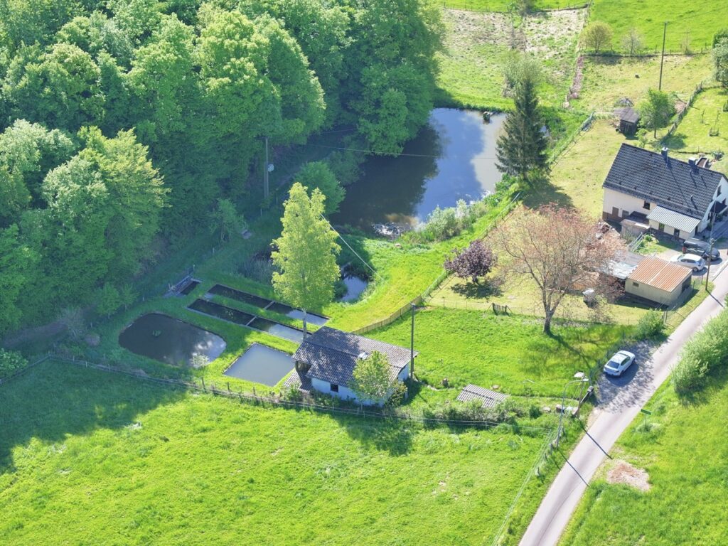 Fachmakler für land-, forst- und pferdewirtschaftliche Immobilien