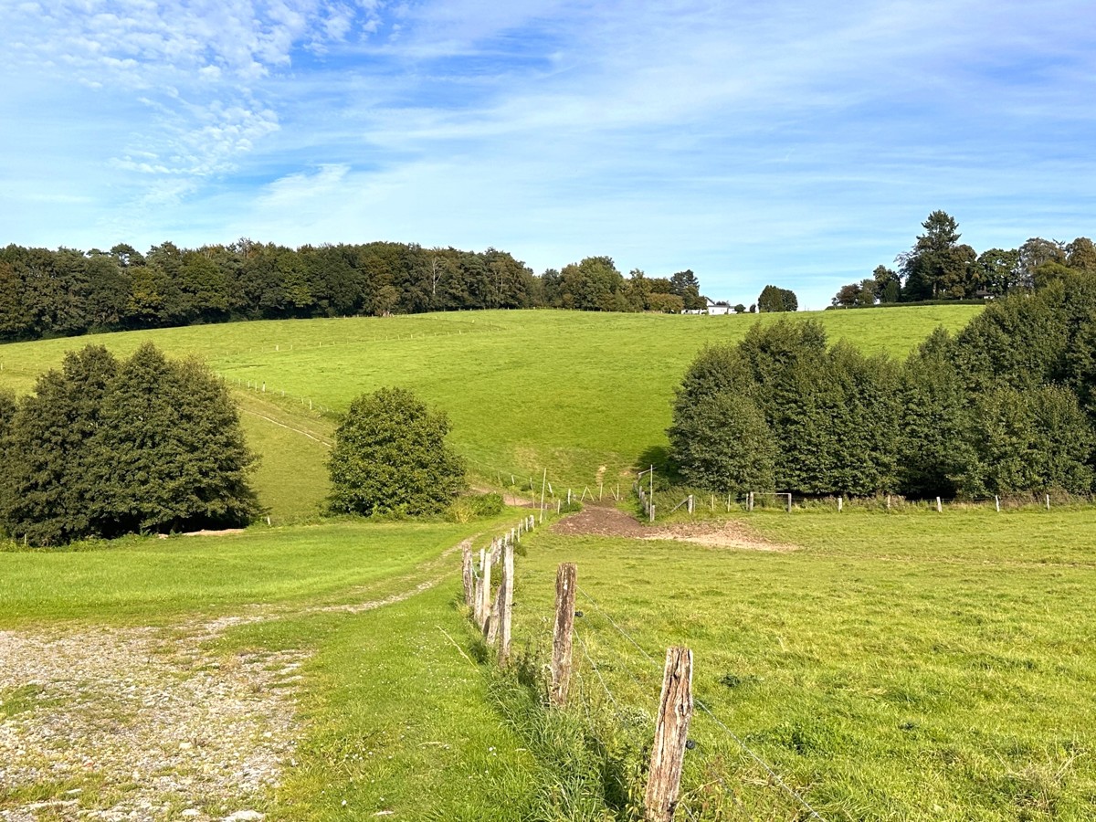 Arrondiertes Grünland