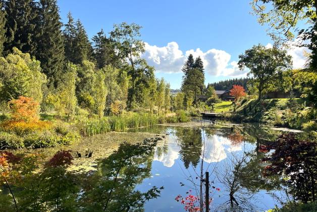 Fachmakler für land-, forst- und pferdewirtschaftliche Immobilien