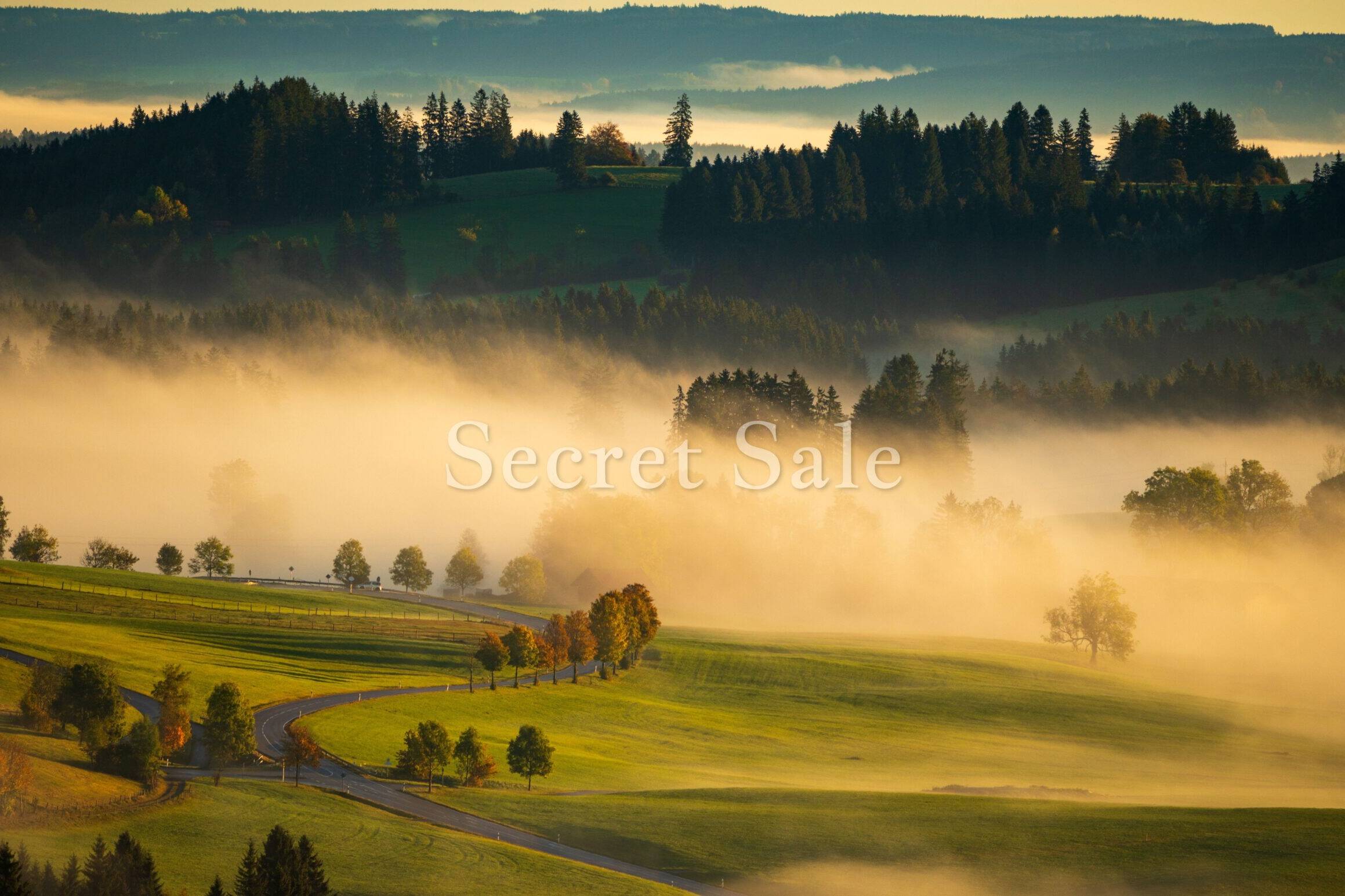 Fachmakler für land-, forst- und pferdewirtschaftliche Immobilien