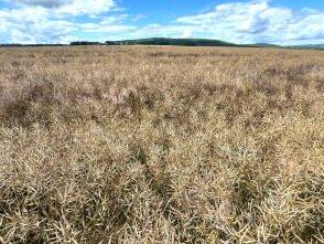 Fachmakler für land-, forst- und pferdewirtschaftliche Immobilien