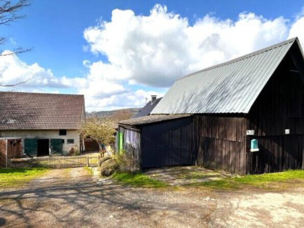 Fachmakler für land-, forst- und pferdewirtschaftliche Immobilien